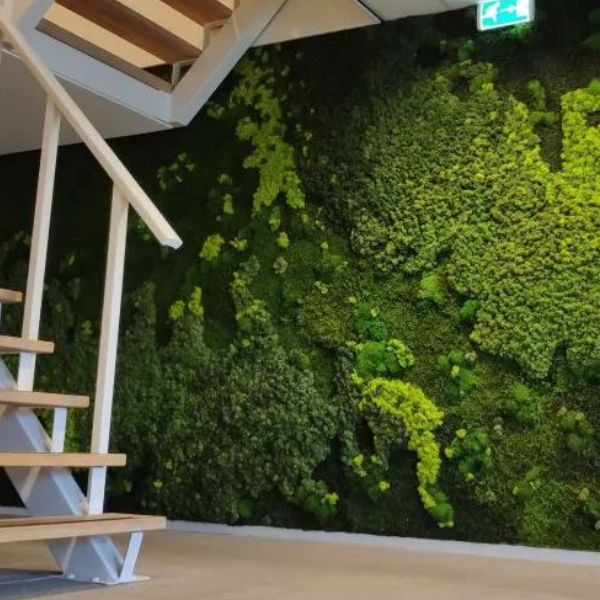 wanddecoratie-more.jpg