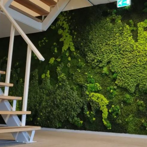wanddecoratie-more.webp